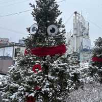 ❄下雪️踩單車體驗