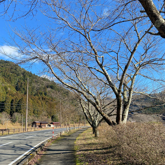 Miyama Kayabuki (Kyoto) มรดกโลกของญี่ปุ่น🇯🇵