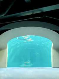 香川　日帰り旅行にオススメ！水族館