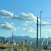 「與儀公園」：自然與文化交融，尋求片刻遠離塵囂的休憩場所