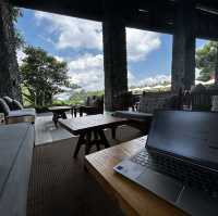 Rediscover Bali-Ubud