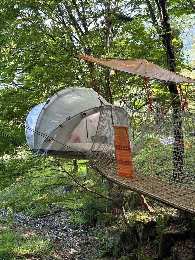 【十津川村】奈良の山奥の秘密基地『空中の村』でフランス由来の森林アクティビティを楽しもう！