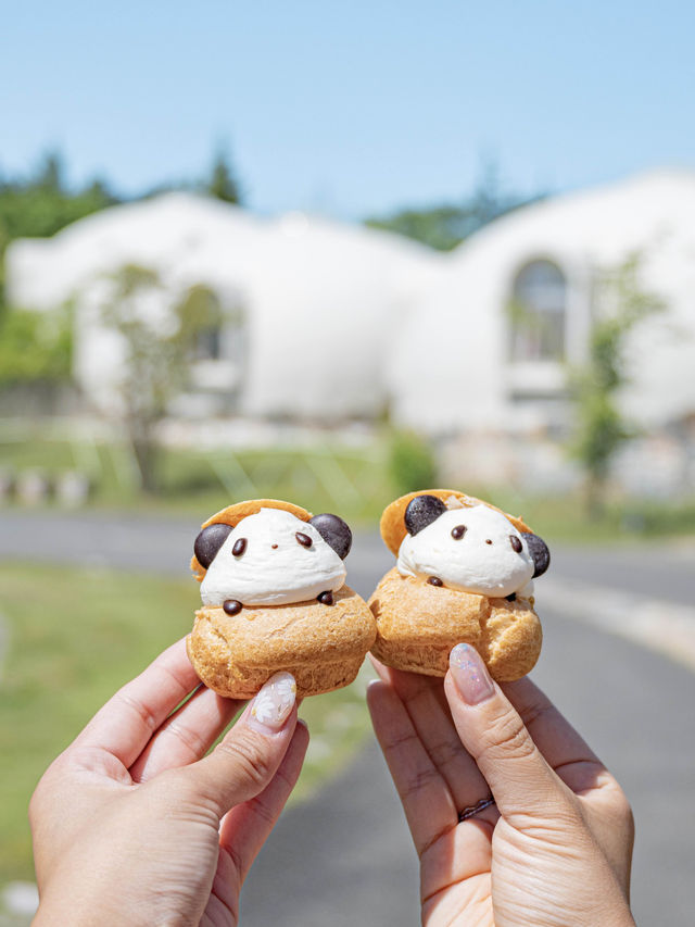 【和歌山】和歌山旅行で食べたいおすすめグルメ＆スイーツ6選🐼🍽️ 