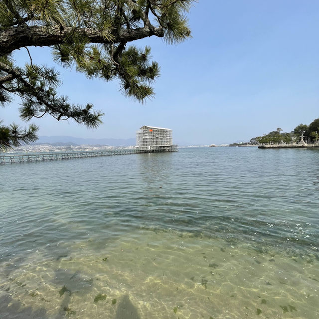 【広島】広島に行ったら必ず抑えたいスポット🇯🇵