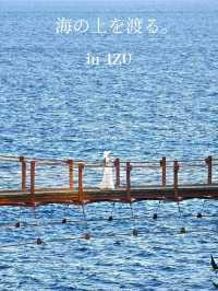 【静岡県/断崖絶壁を架ける橋】海の上を渡れる危険？！な場所が静岡にあった！