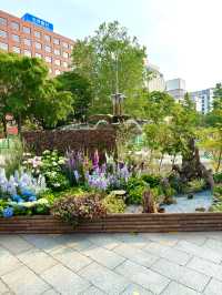 札幌　札幌観光　今年も開催中！札幌花フェスタ2024にいってきたよ