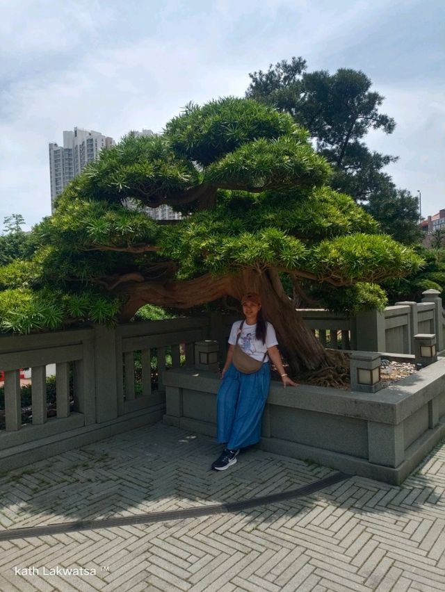 Nan Lian Garden, Hong Kong