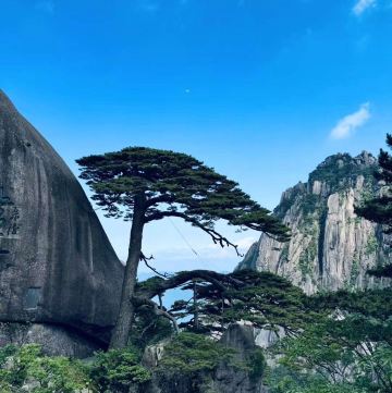 黄山/天都峰】今年から再開した天都峰、この景色を見ないと後悔します
