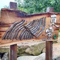 A Must-Visit Hidden Gem in Hong Kong😃