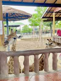 ตะลุยสวนสัตว์ Sriayuthaya Lion Park