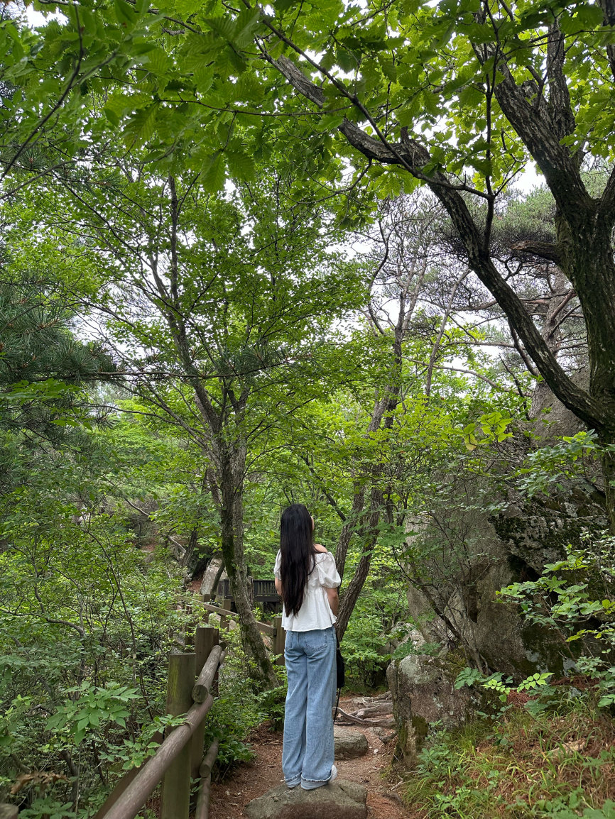 大邱の路地 = Les ruelles de Daegu　帯付き 韓国/大邱】紅葉が有名な山！でも今も素敵なパルゴンサン | Trip.com 大邱
