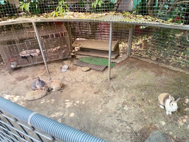 八德角樂園-綠蔭新天地