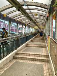 香港　香港観光　香港で世界最長のアレに乗ってきたぞ！