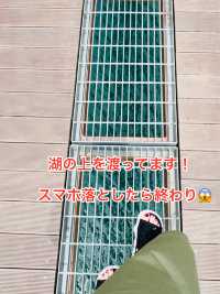 【韓国】湖に架かる吊り橋〚Majang Reservoir(マジャン湖)〛での素敵な一日✨🌤