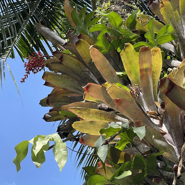 Bali, a place that I will definitely visit again and again 