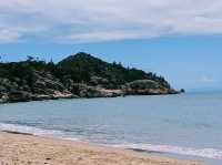 The Radical Bay