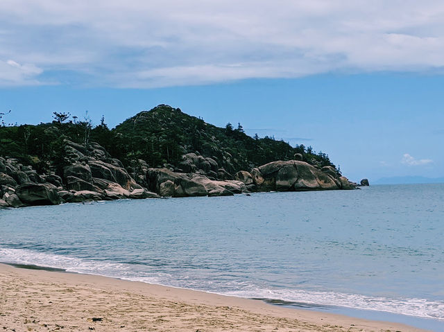The Radical Bay
