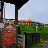 419 road hill trang