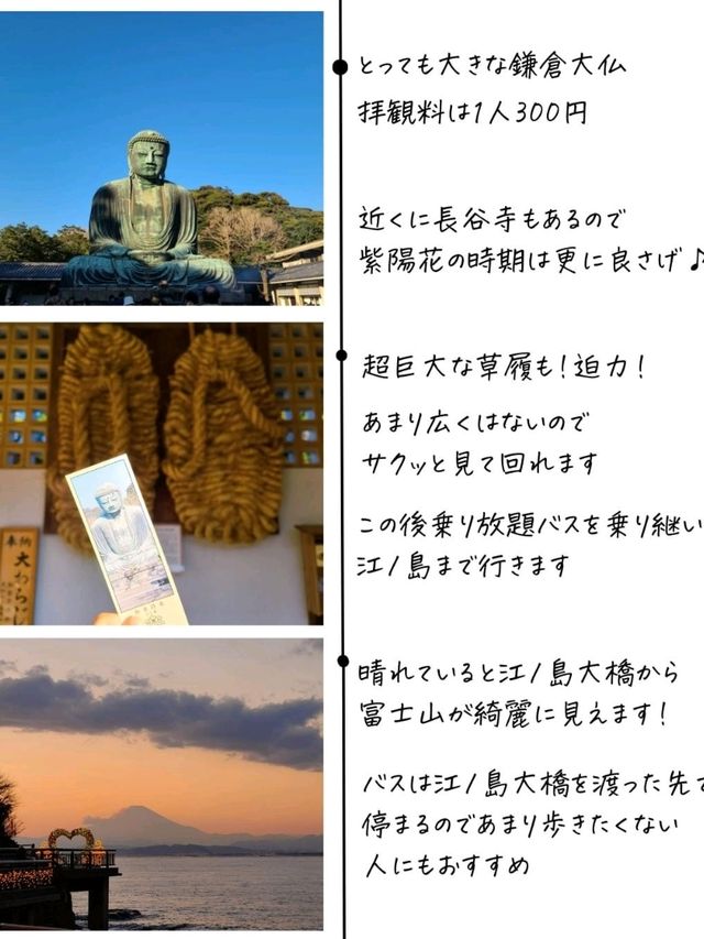 【鎌倉】おすすめ日帰り観光プラン！バス乗り放題を活用！