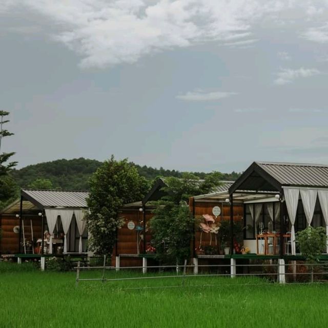 พักผ่อนนอนเล่นกลางทุ่งนา Viewna Litle Home น่าน