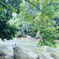 Rapids of Kampar