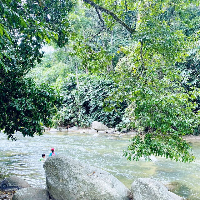 Rapids of Kampar
