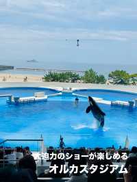 【兵庫県:須磨】2024年6月1日グランドオープン！大迫力のオルカショーが楽しめる！