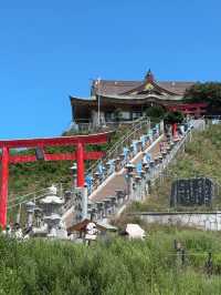 【青森】ウミネコが住み着く島🕊️
