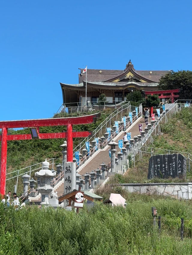 【青森】ウミネコが住み着く島🕊️
