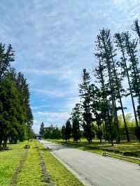 【日本東北】松島瑞嚴寺：莊嚴肅穆的三十三尊觀音像