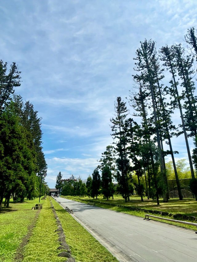 【日本東北】松島瑞嚴寺：莊嚴肅穆的三十三尊觀音像