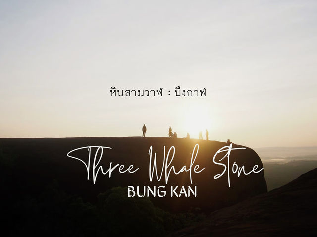 หินสามวาฬ บึงกาฬ
