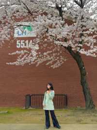 서울 포토존 명소, 용산 가볼 만한 곳 ‘용산공원’