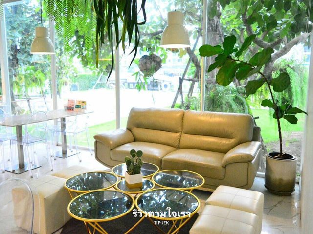 คาเฟ่คุมโทนขาวเขียวบรรยากาศร่มรื่น