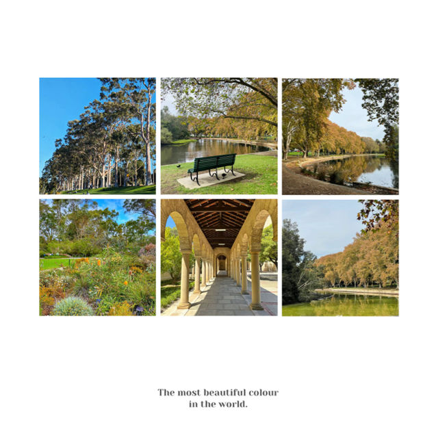 格林威治公園🔆綠意世外桃源