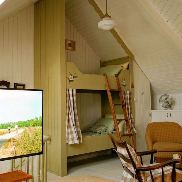 Camy Concept