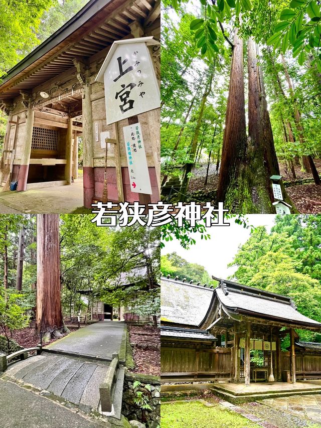 【福井県】越前・若狭の御朱印旅