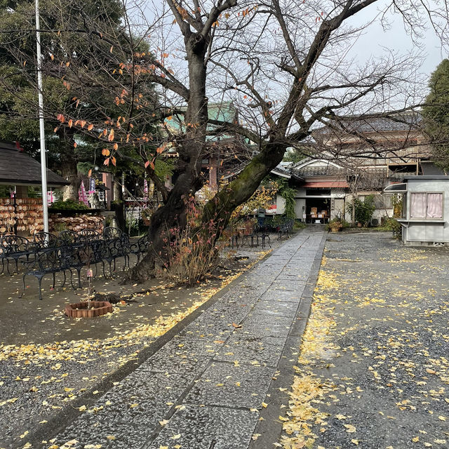 「淺草寺廟，8月好去處」