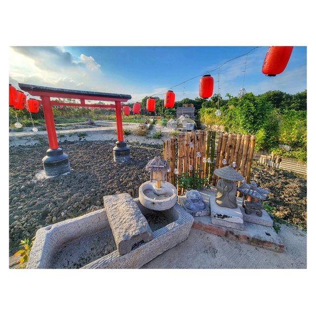 元朗新田「信芯園農莊」：四季花海、日本風情，適合攝影愛好者和親子遊客