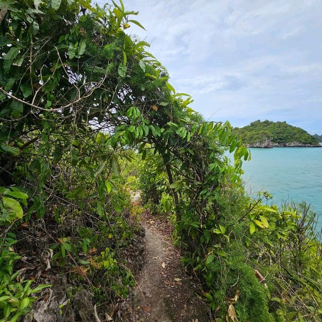 เกาะยอ ธนาคารปู ชุมพร