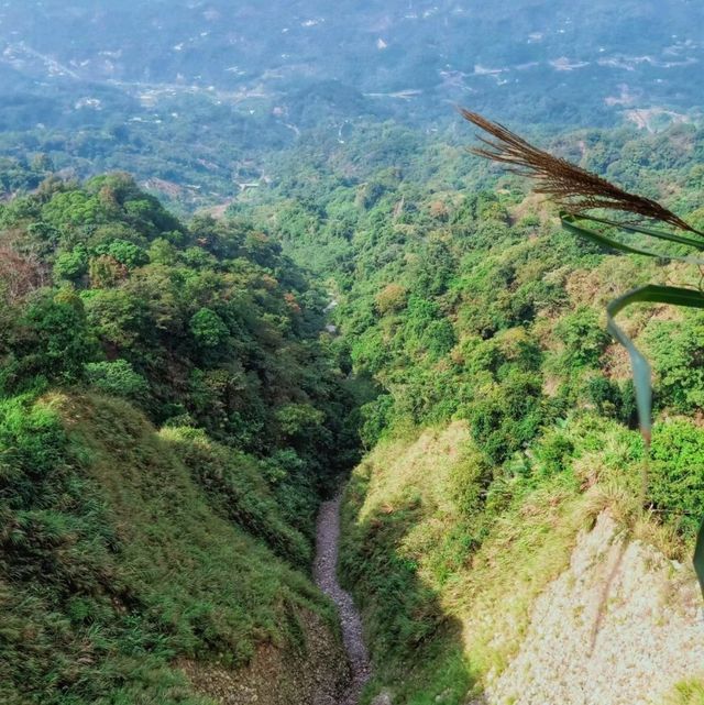 【臺中】熱門登山步道，適合喜歡自然景觀和健行活動的人