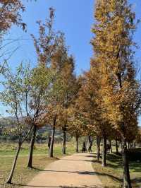 매력적인 가을 풍경의 물의정원🍂