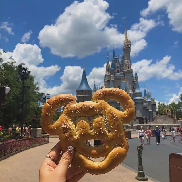 Essential Travel Destination in the USA: Orlando Disney World