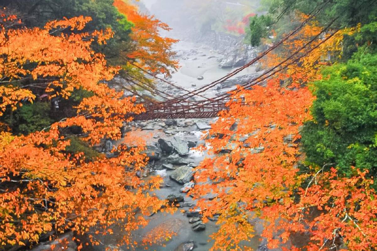 祖谷のかずら橋