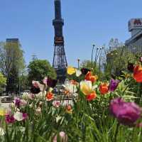 A Vibrant Oasis in the Heart of Sapporo