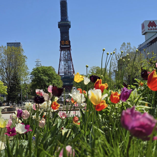 A Vibrant Oasis in the Heart of Sapporo
