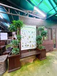 A Day at AGRO Nursery, Adda Heights
