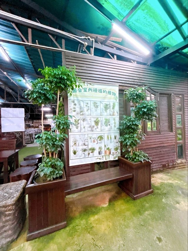 A Day at AGRO Nursery, Adda Heights