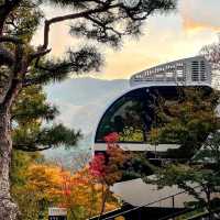 Hwadam Botanical Garden - South Korea