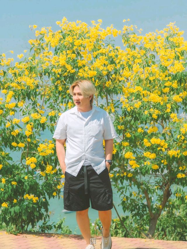 🌅 มุมถ่ายรูปพัทยาสุดฮิตฟีลเกาหลี ปูซาน